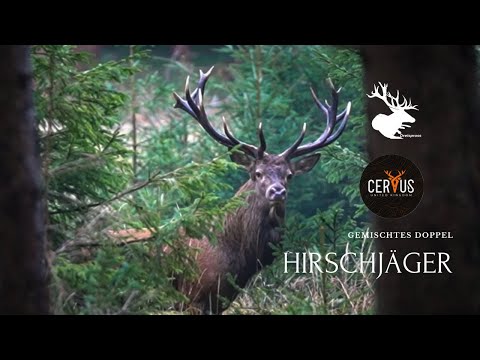 HIRSCHJÄGER 5 - Rotwildjagd in Thüringen