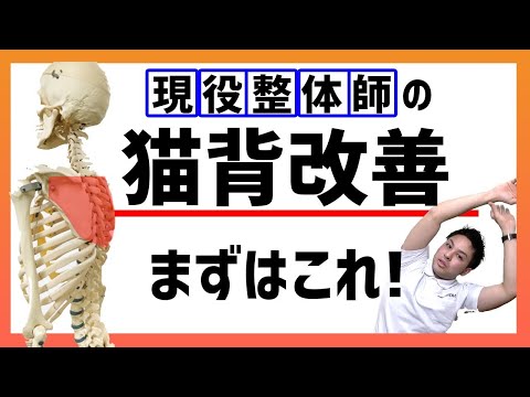 猫背の改善方法を解説！ストレッチと筋トレで治そう！