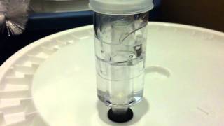 Crazy Fast Fermentation