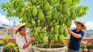 盆栽刺果番荔枝完整種植攻略｜大果撐破套袋，什麼時候採收最好？ screenshot 3