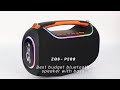 Sing-e ZQS-P200 Best budget bluetooth speaker with bass
