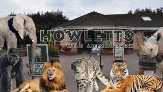 The Most Important Zoo In The Uk ?! | Howletts Wild Animal Park Review Web Wizardz Zoo