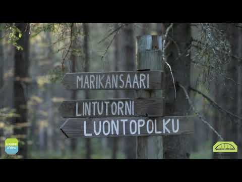This autumn film shifts the focus from winter recreation to walking scenery. Its official description specifically names the Siiponkoski river centre, Tynnyrikoski and the Pitkänkangas trail-running area as places known to residents and visitors. That makes the video a useful visual companion to Haapajärvi’s network of village paths, while the municipal route descriptions provide the practical detail needed to choose a walk. The film was published in 2021; it cannot confirm present trail maintenance, weather, seasonal access or services at the trailheads. Treat it as an invitation to explore, then check current route information.