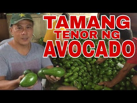 Video: Paano Mag-imbak Ng Mga Avocado