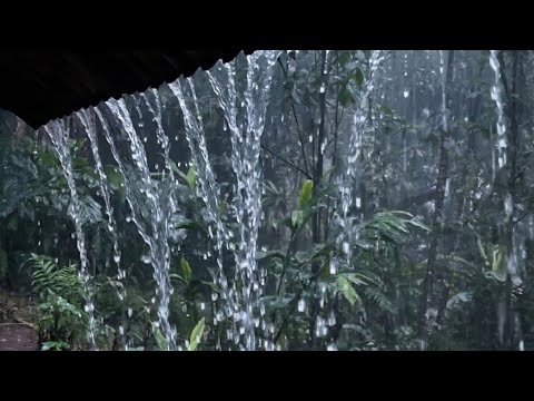 Real Heavy Rain Sounds All Night ????️ No Ads | Deep Sleep & Insomnia Relief ????