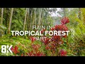 8K Tropical Rainforest - 8 HOURS of Relaxing Rain Sounds and Tropical Birds Chirping - Part #2