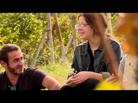 \"ნუ გიყორს, ქალავ\" • (ახმეტა)