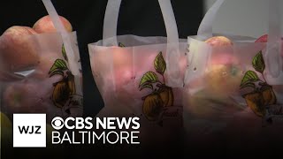 Maryland farm lost 90% of apple, peach crops because of late April frost