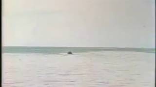 For the Record March 12, 1978 Opening