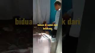 biduan di sodok dari belakang😘😘