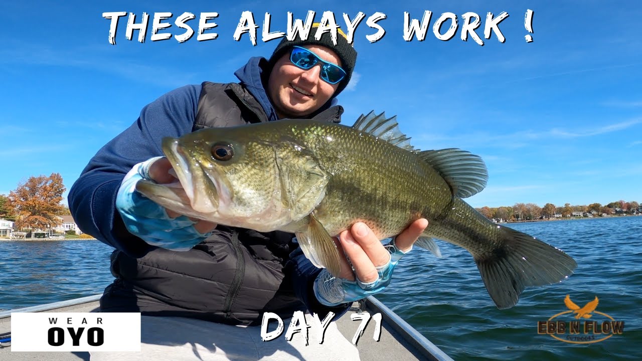 3 BASS FISHING PATTERNS That NEVER FAIL (Guaranteed Catches!)