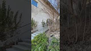 ￼Jump with MTB #sickseries #mtb #redbull #downhill #redbull #downhill #specialized #enduro