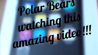 Polarz Channel Trailer