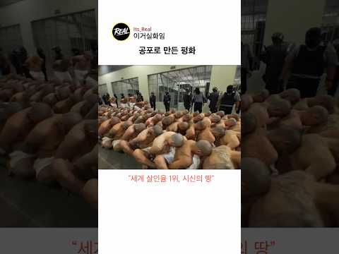 가장 모범적인 감옥#역사 #쇼츠 #엘살바도르