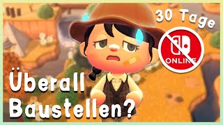 Tag 29 - Ich gestalte eine Insel ohne Nintendo Switch Online in 30 Tagen