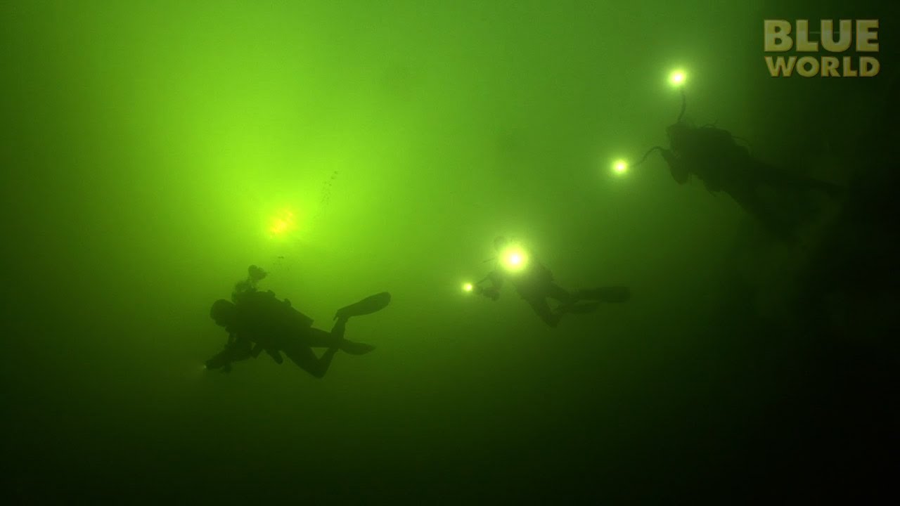 Cousteau's Blue Hole JONATHAN BIRD'S BLUE WORLD YouTube