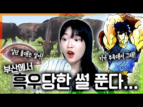 [연두의 <strong>부산여행기</strong> - 2부]
