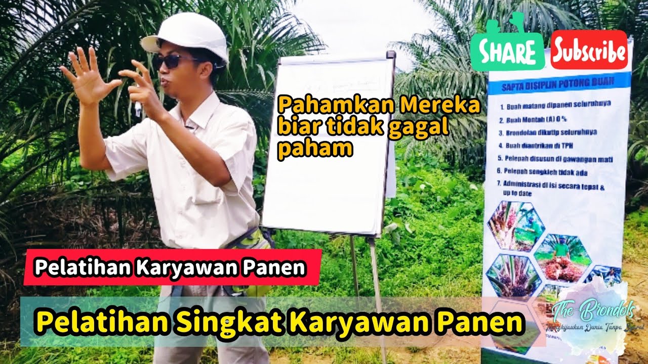 Pelatihan Singkat Karyawan Panen (Buat Pemanen Pemula)
