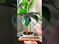 Chime Sound Bath 432 HZ