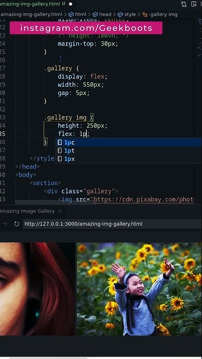 How to create a Amazing Image Gallery using HTML CSS only | Geekboots ...
