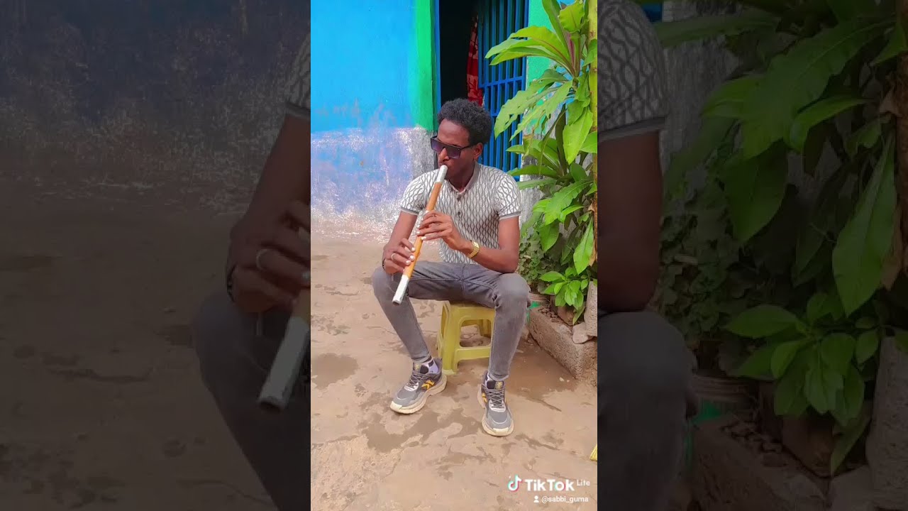 ethiopian habesha irob music tigray NOVA RECORDS xf1st YouTube ethiopian habesha irob music tigray NOVA RECORDS xf1st YouTube