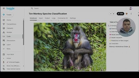 10 Monkey Species Classification Using Tkinter