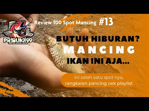 Review 100 Spot Mancing Jogja #13
