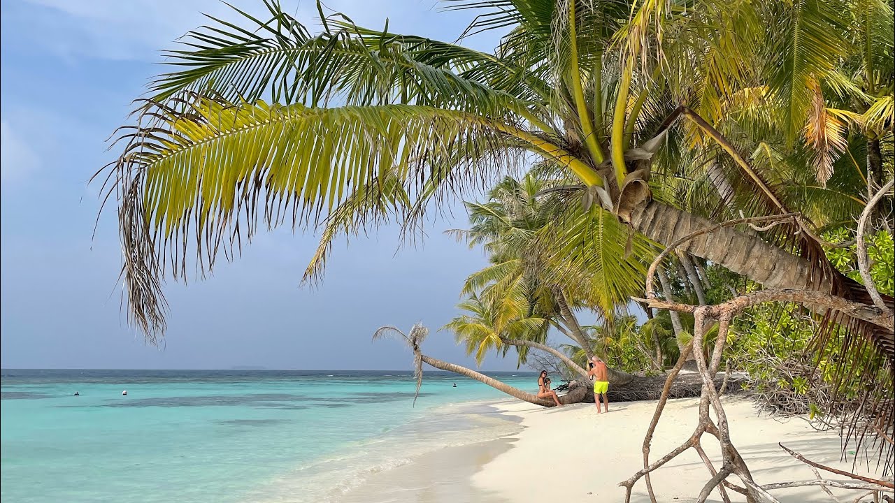 Bandos Maldives December 2025