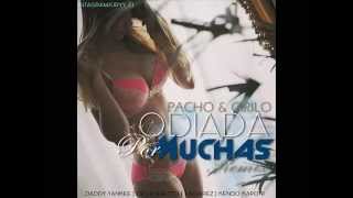 Odiada Por Muchas Remix Letra - Pacho Y Cirilo Ft. Kendo Kaponi, Daddy Yankee & De La Ghetto