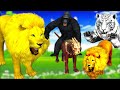 शैतानी तेंदुए का जंगल के जानवरो पर आतंक और जादुई गोल्डन लायन राजा की अच्छाई / Golden Lion Stories