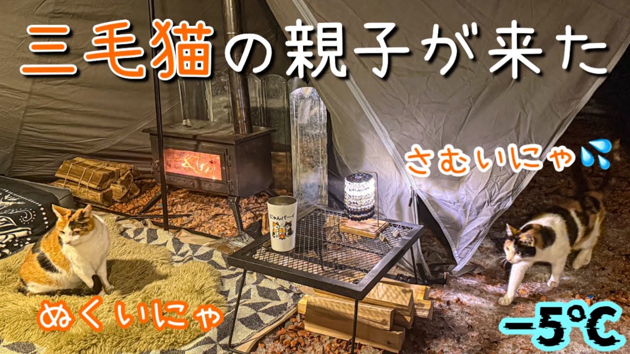 猫の親子がテントの中へ温まりに来たから一緒にキャンプを楽しみました！