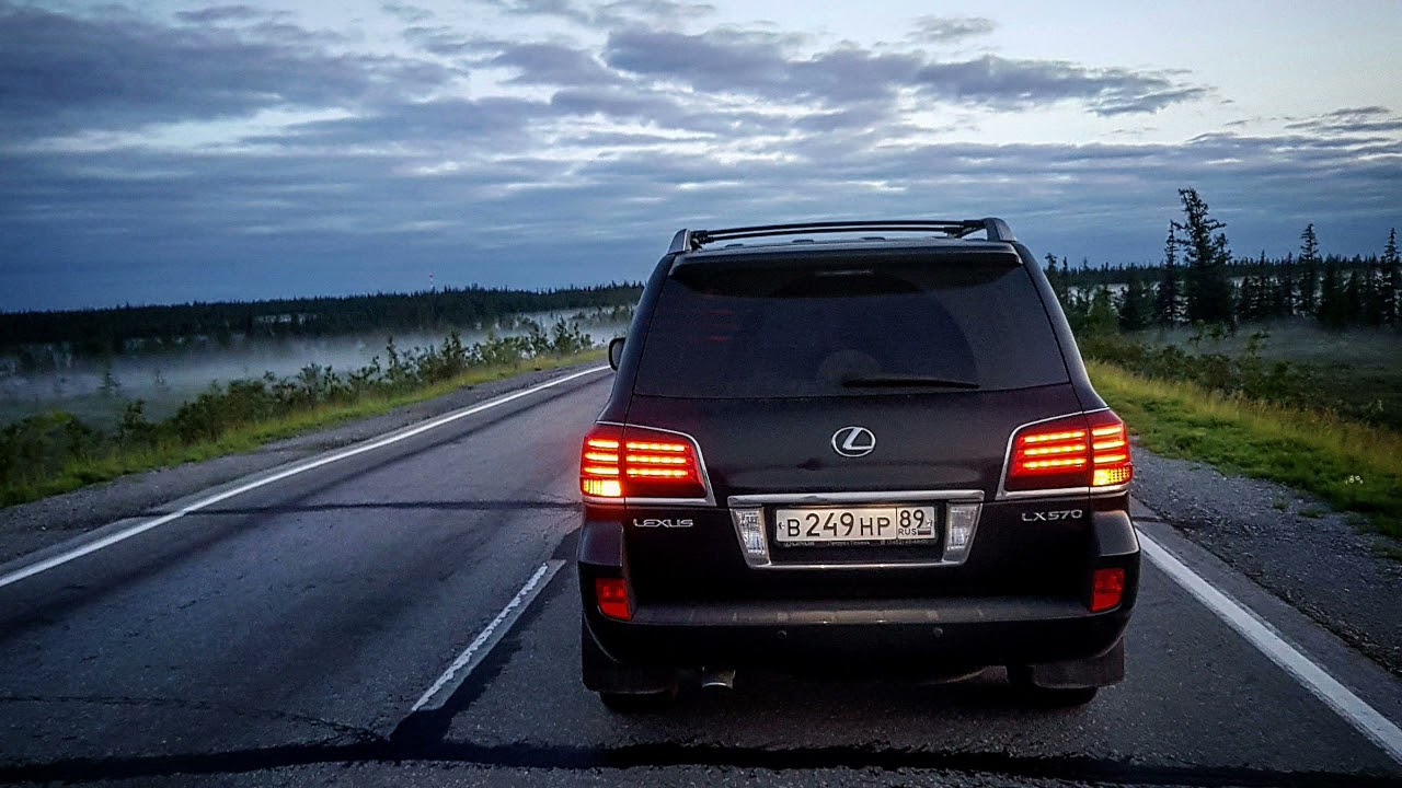 DAVA CREATIV - Ветто