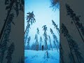 Ambroxyde - out now