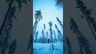 Ambroxyde - out now