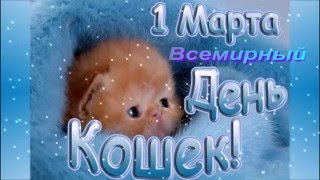 1  МАРТА  ВСЕМИРНЫЙ  ДЕНЬ  КОШЕК!