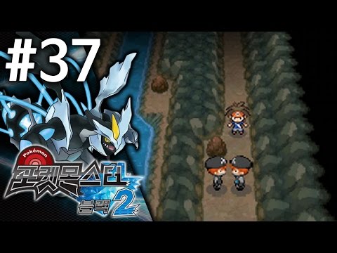 포켓몬스터 블랙2 #37 [22번도로] 김용녀 실황 공략 (Pokemon Black 2)