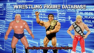 Wrestling Figure Database August 2024
