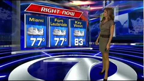 WSVN Weather Julie Durda hot grey dress 9/26/2011