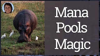 Mana Pools Magic