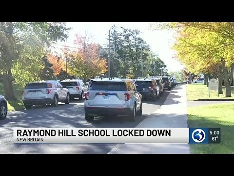 Raymond Hill School locked down