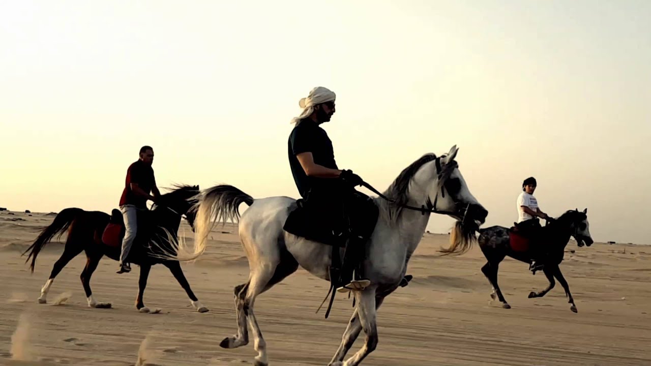 خيال المحاميد