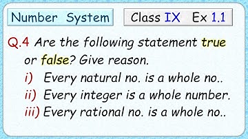 Ex 1.1 - Q.4)  State whether the following statements are true or false. Give reasons for your ans.