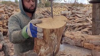 فلسطينيون يقطعون جذوع الأشجار لإعداد الحطب للتدفئة خلال فصل الشتاء في بلدة حلحول شمال الخليل