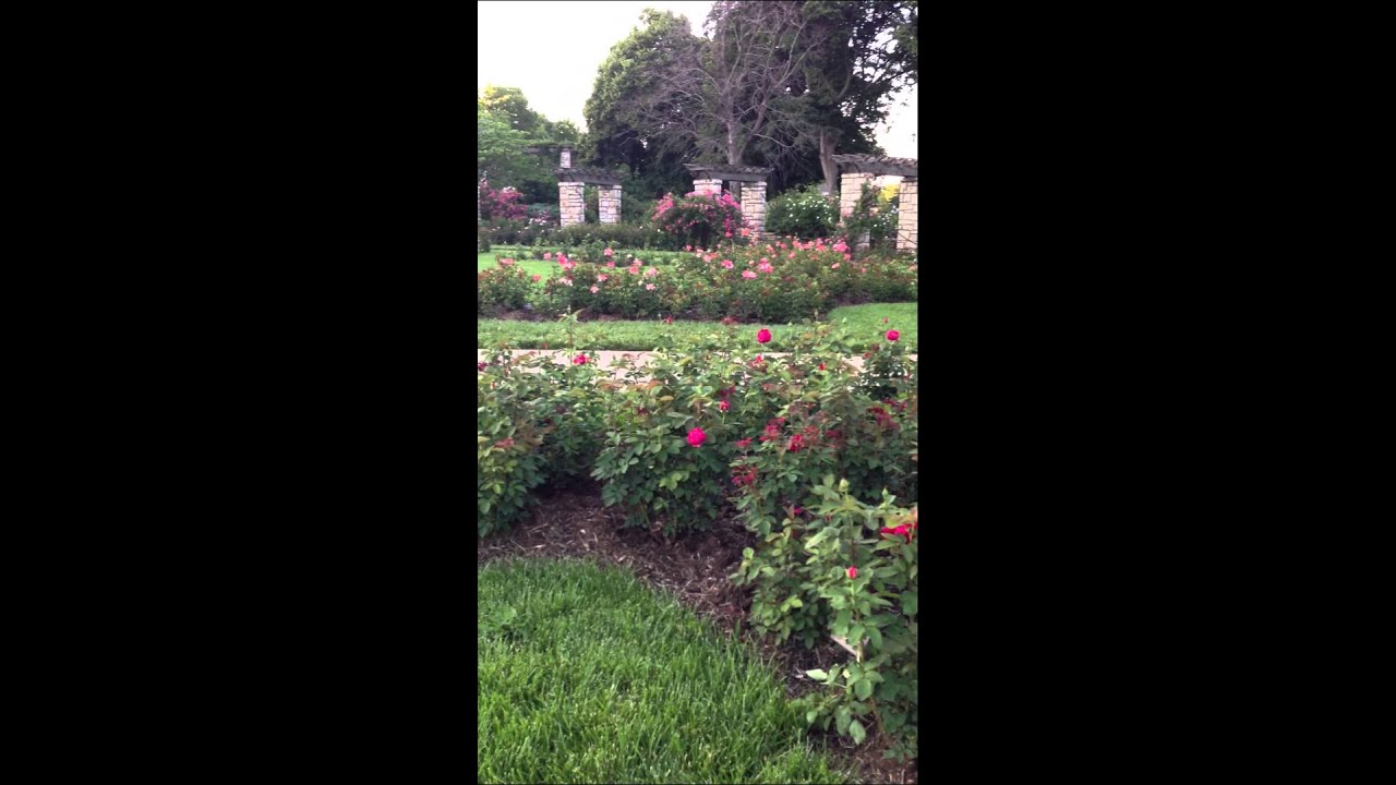 Loose Park Rose Garden Youtube