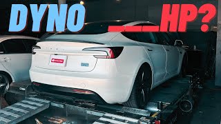 Famous DYNO TEST: 2024 Model 3 Performance Wealth