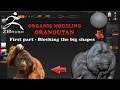 Organic Modeling - ORANGUTAN Part 1 Zbrush 4R7