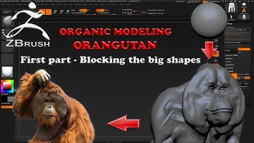 Organic Modeling - ORANGUTAN Part 1 Zbrush 4R7
