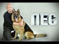 Музыкальная заставка сериала "Пёс". Композиторы: Игорь Мельничук, Павел Крахмалёв