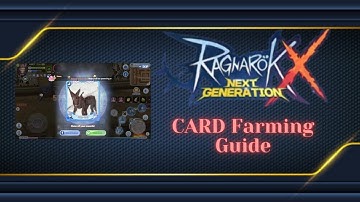 ROX Card Farming Guide 101