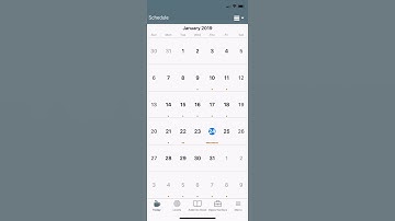 Maximizer Mobile calendar
